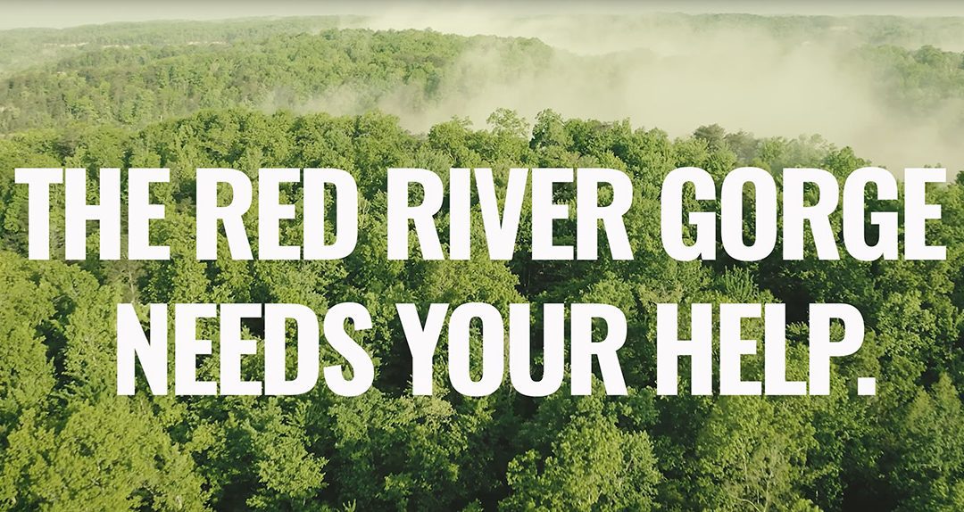 The Red River Gorge Needs Your Help
