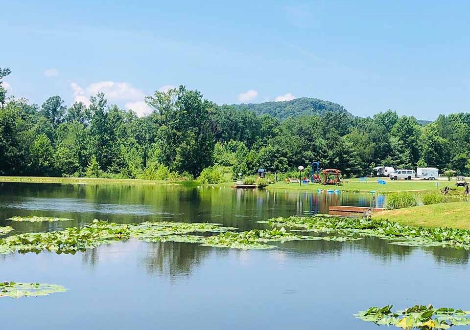 Callies Lake And Campground